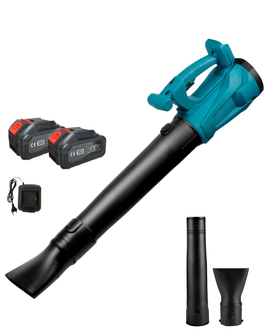 Soffiatore a Batteria Professionale Soffiatore per Foglie 2 Batterie 6 Velocita'